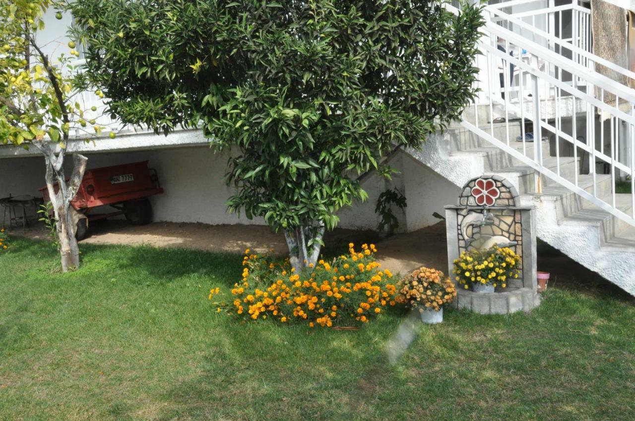 Despina Apartment كيراموتي المظهر الخارجي الصورة